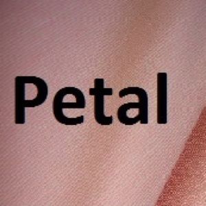 Braemore New Tussah Color Petal Pink Striated